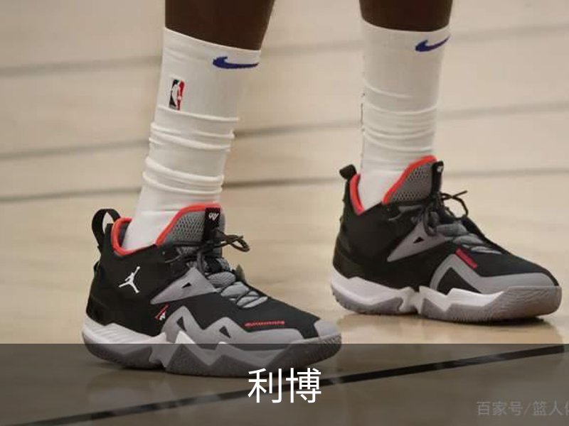 利博概况